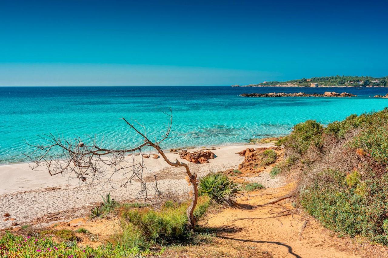 In Con Piscina A 2 Km Da * Alghero